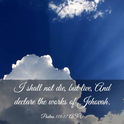 Picture 03 - Psalms 118:17 ASV - I shall not die, but live, And declare the works - Bible Verse Picture
