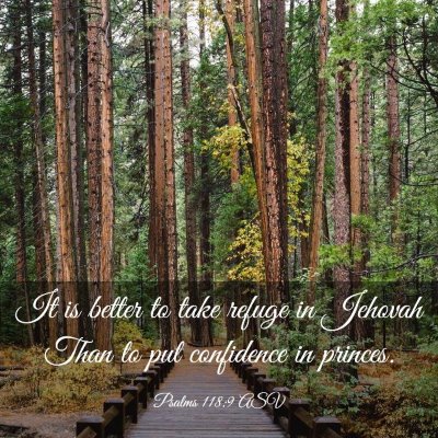 Picture 03 - Psalms 118:9 ASV - It is better to take refuge in Jehovah Than to - Bible Verse Picture