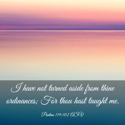 Picture 03 - Psalms 119:102 ASV - I have not turned aside from thine ordinances; - Bible Verse Picture
