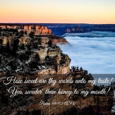 Picture 03 - Psalms 119:103 ASV - How sweet are thy words unto my taste! `Yea, - Bible Verse Picture
