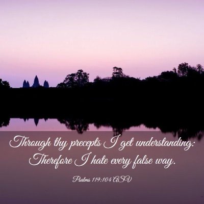 Picture 03 - Psalms 119:104 ASV - Through thy precepts I get understanding: - Bible Verse Picture