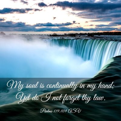 Picture 03 - Psalms 119:109 ASV - My soul is continually in my hand; Yet do I not - Bible Verse Picture