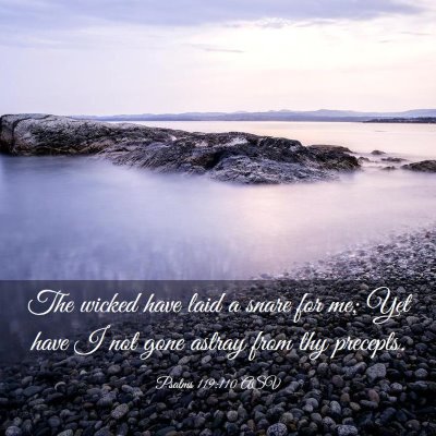 Picture 03 - Psalms 119:110 ASV - The wicked have laid a snare for me; Yet have I - Bible Verse Picture