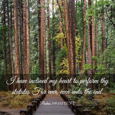 Picture 03 - Psalms 119:112 ASV - I have inclined my heart to perform thy statutes - Bible Verse Picture