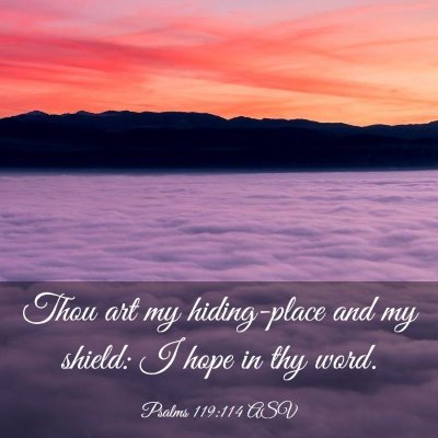 Picture 03 - Psalms 119:114 ASV - Thou art my hiding-place and my shield: I hope in - Bible Verse Picture