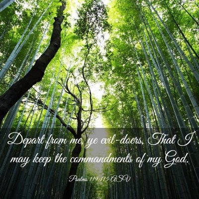 Picture 03 - Psalms 119:115 ASV - Depart from me, ye evil-doers, That I may keep - Bible Verse Picture