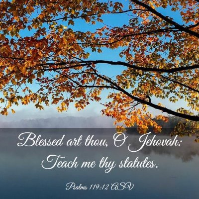 Picture 03 - Psalms 119:12 ASV - Blessed art thou, O Jehovah: Teach me thy - Bible Verse Picture