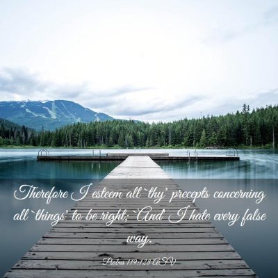 Picture 03 - Psalms 119:128 ASV - Therefore I esteem all `thy' precepts concerning - Bible Verse Picture