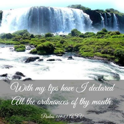 Picture 03 - Psalms 119:13 ASV - With my lips have I declared All the ordinances - Bible Verse Picture