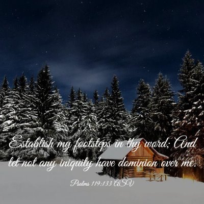 Picture 03 - Psalms 119:133 ASV - Establish my footsteps in thy word; And let not - Bible Verse Picture
