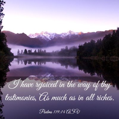 Picture 03 - Psalms 119:14 ASV - I have rejoiced in the way of thy testimonies, As - Bible Verse Picture