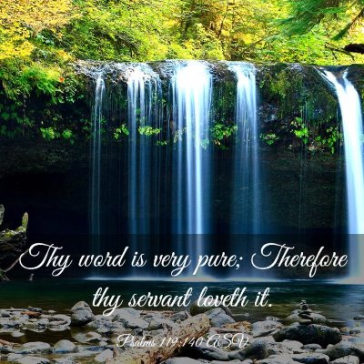 Picture 03 - Psalms 119:140 ASV - Thy word is very pure; Therefore thy servant - Bible Verse Picture