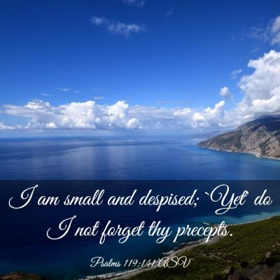 Picture 03 - Psalms 119:141 ASV - I am small and despised; `Yet' do I not forget - Bible Verse Picture