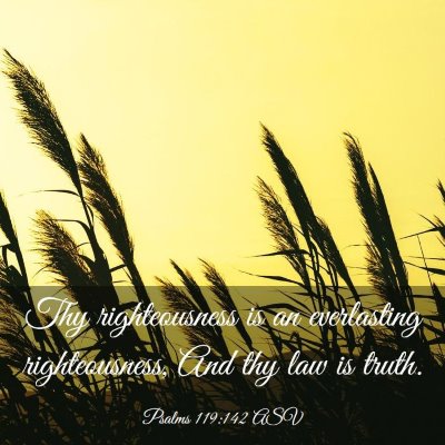 Picture 03 - Psalms 119:142 ASV - Thy righteousness is an everlasting - Bible Verse Picture