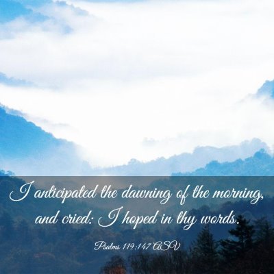 Picture 03 - Psalms 119:147 ASV - I anticipated the dawning of the morning, and - Bible Verse Picture