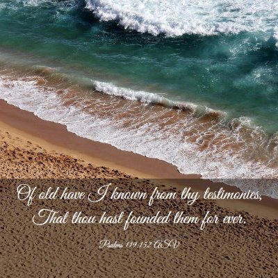 Picture 03 - Psalms 119:152 ASV - Of old have I known from thy testimonies, That - Bible Verse Picture