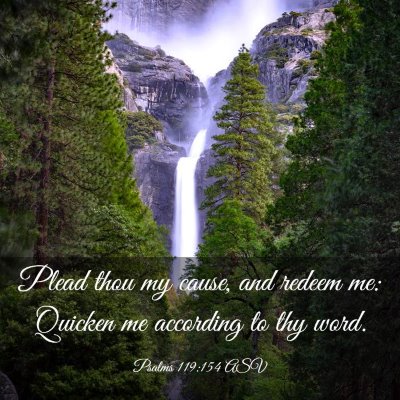 Picture 03 - Psalms 119:154 ASV - Plead thou my cause, and redeem me: Quicken me - Bible Verse Picture