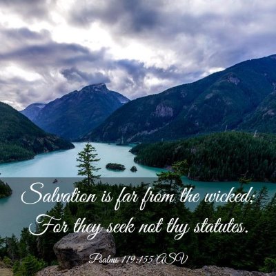 Picture 03 - Psalms 119:155 ASV - Salvation is far from the wicked; For they seek - Bible Verse Picture