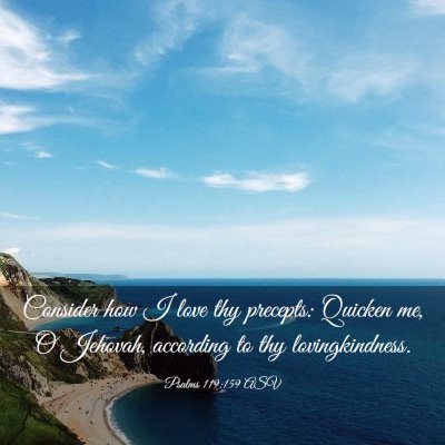 Picture 03 - Psalms 119:159 ASV - Consider how I love thy precepts: Quicken me, O - Bible Verse Picture