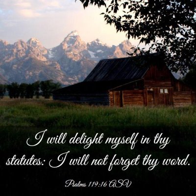 Picture 03 - Psalms 119:16 ASV - I will delight myself in thy statutes: I will not - Bible Verse Picture