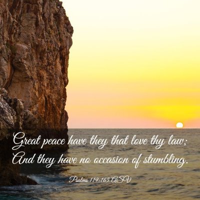 Picture 03 - Psalms 119:165 ASV - Great peace have they that love thy law; And they - Bible Verse Picture