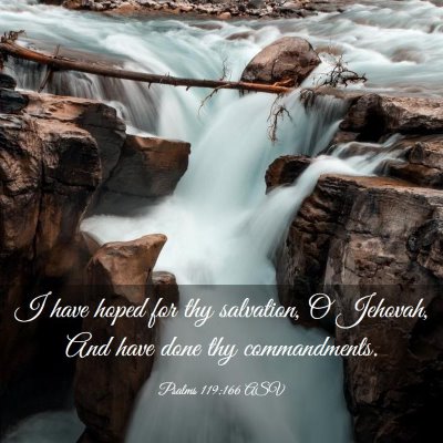 Picture 03 - Psalms 119:166 ASV - I have hoped for thy salvation, O Jehovah, And - Bible Verse Picture