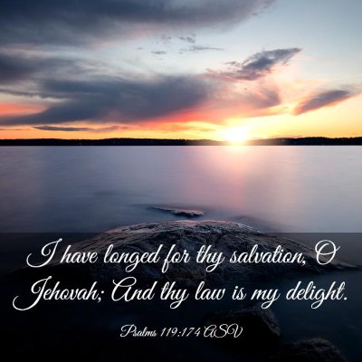 Picture 03 - Psalms 119:174 ASV - I have longed for thy salvation, O Jehovah; And - Bible Verse Picture