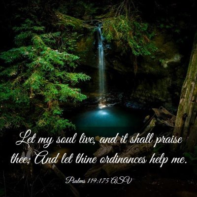 Picture 03 - Psalms 119:175 ASV - Let my soul live, and it shall praise thee; And - Bible Verse Picture