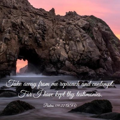 Picture 03 - Psalms 119:22 ASV - Take away from me reproach and contempt; For I - Bible Verse Picture