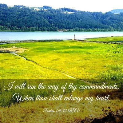 Picture 03 - Psalms 119:32 ASV - I will run the way of thy commandments, When thou - Bible Verse Picture