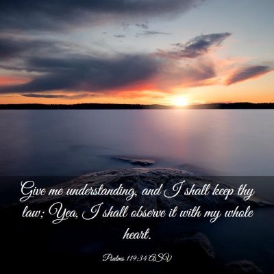 Picture 03 - Psalms 119:34 ASV - Give me understanding, and I shall keep thy law; - Bible Verse Picture