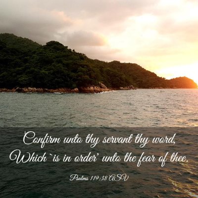 Picture 03 - Psalms 119:38 ASV - Confirm unto thy servant thy word, Which `is in - Bible Verse Picture