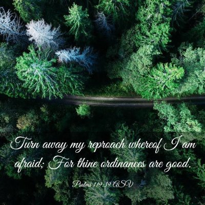 Picture 03 - Psalms 119:39 ASV - Turn away my reproach whereof I am afraid; For - Bible Verse Picture
