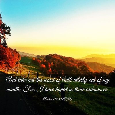 Picture 03 - Psalms 119:43 ASV - And take not the word of truth utterly out of my - Bible Verse Picture