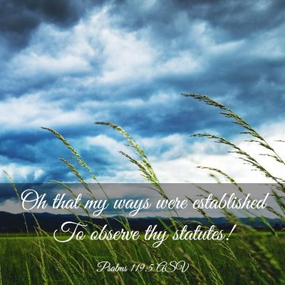 Picture 03 - Psalms 119:5 ASV - Oh that my ways were established To observe thy - Bible Verse Picture