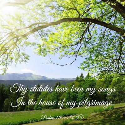 Picture 03 - Psalms 119:54 ASV - Thy statutes have been my songs In the house of - Bible Verse Picture