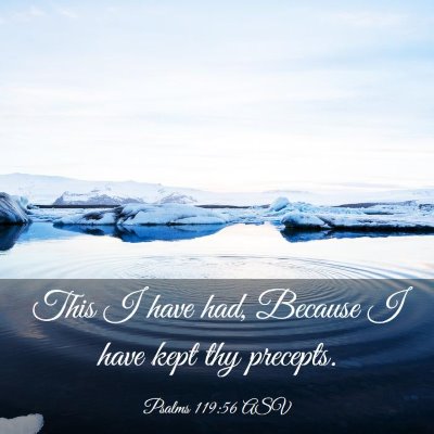 Picture 03 - Psalms 119:56 ASV - This I have had, Because I have kept thy - Bible Verse Picture