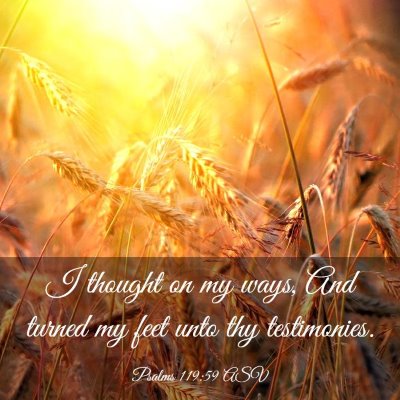Picture 03 - Psalms 119:59 ASV - I thought on my ways, And turned my feet unto thy - Bible Verse Picture