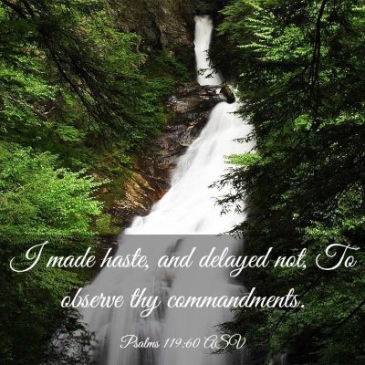 Picture 03 - Psalms 119:60 ASV - I made haste, and delayed not, To observe thy - Bible Verse Picture