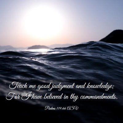 Picture 03 - Psalms 119:66 ASV - Teach me good judgment and knowledge; For I have - Bible Verse Picture