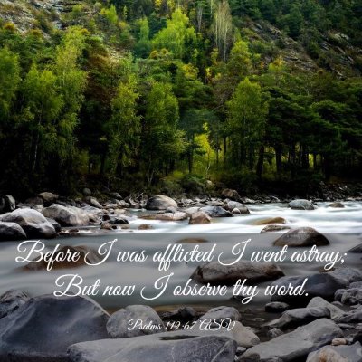 Picture 03 - Psalms 119:67 ASV - Before I was afflicted I went astray; But now I - Bible Verse Picture