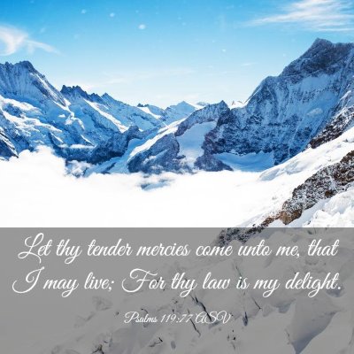 Picture 03 - Psalms 119:77 ASV - Let thy tender mercies come unto me, that I may - Bible Verse Picture