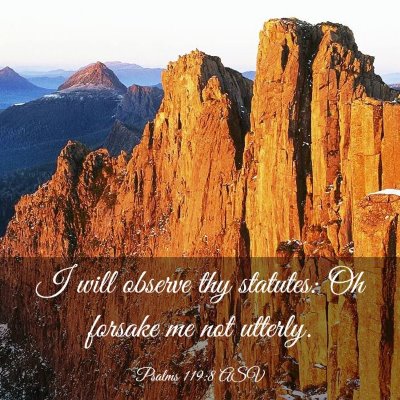 Picture 03 - Psalms 119:8 ASV - I will observe thy statutes: Oh forsake me not - Bible Verse Picture