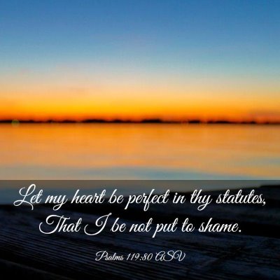 Picture 03 - Psalms 119:80 ASV - Let my heart be perfect in thy statutes, That I - Bible Verse Picture