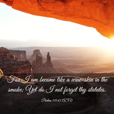 Picture 03 - Psalms 119:83 ASV - For I am become like a wine-skin in the smoke; - Bible Verse Picture