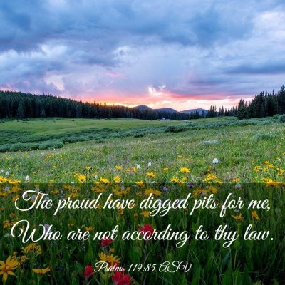 Picture 03 - Psalms 119:85 ASV - The proud have digged pits for me, Who are not - Bible Verse Picture