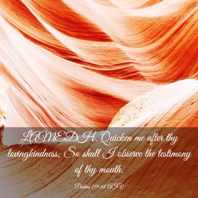 Picture 03 - Psalms 119:88 ASV - LAMEDH. Quicken me after thy lovingkindness; So - Bible Verse Picture