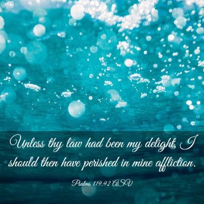 Picture 03 - Psalms 119:92 ASV - Unless thy law had been my delight, I should then - Bible Verse Picture