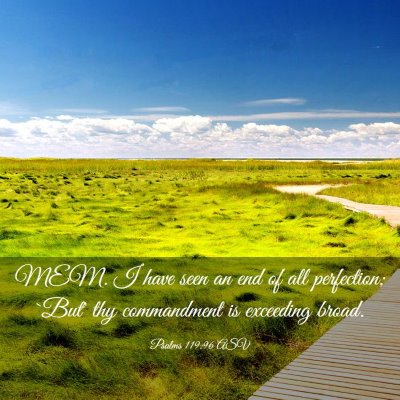 Picture 03 - Psalms 119:96 ASV - MEM. I have seen an end of all perfection; `But' - Bible Verse Picture