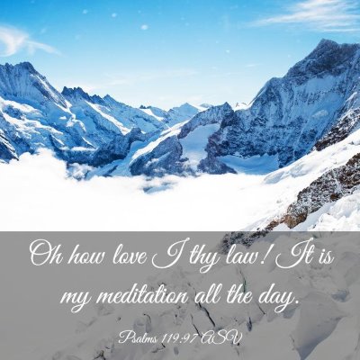 Picture 03 - Psalms 119:97 ASV - Oh how love I thy law! It is my meditation all - Bible Verse Picture